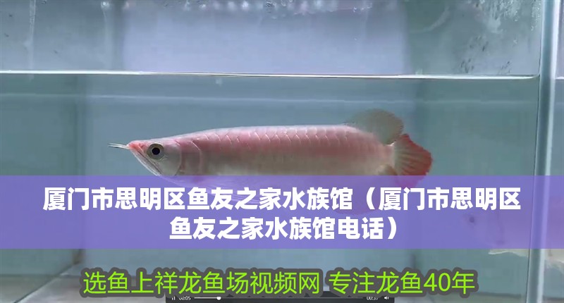 廈門市思明區魚友之家水族館(廈門市思明區魚友之家水族館電話) 全國水族館企業名錄 第1張 廈門市思明區魚友之家水族館(廈門市思明區魚友之家水族館電話) 廈門市思明區魚友之家水族館(廈門市思明區魚友之家水族館電話) 全國水族館企業名錄 第1張