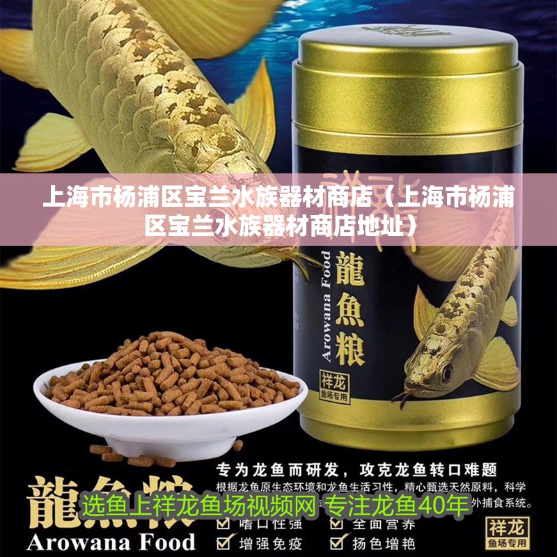 上海市楊浦區(qū)寶蘭水族器材商店（上海市楊浦區(qū)寶蘭水族器材商店地址）