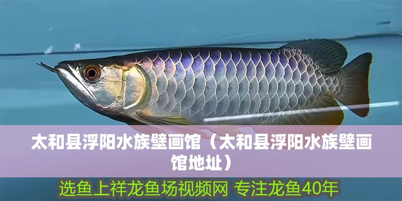 太和縣浮陽水族壁畫館（太和縣浮陽水族壁畫館地址） 太和縣浮陽水族壁畫館（太和縣浮陽水族壁畫館地址） 全國水族館企業名錄 第1張