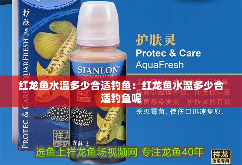 紅龍魚水溫多少合適釣魚：紅龍魚水溫多少合適釣魚呢 紅龍魚水溫多少合適釣魚：紅龍魚水溫多少合適釣魚呢 水族問答