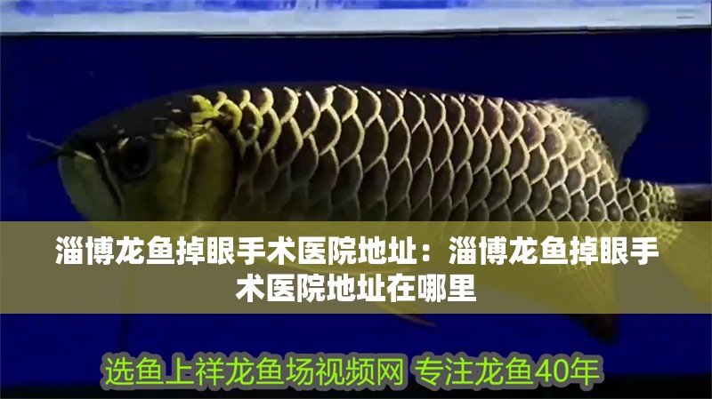 <strong><mark>淄博</mark></strong>龍魚掉眼手術醫院地址：<strong><mark>淄博</mark></strong>龍魚掉眼手術醫院地址在哪里