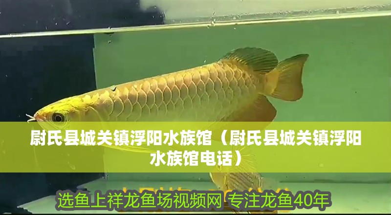 尉氏縣城關鎮浮陽水族館（尉氏縣城關鎮浮陽水族館電話）