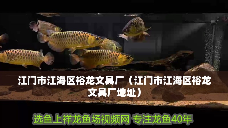 江門市江海區裕龍文具廠（江門市江海區裕龍文具廠地址）