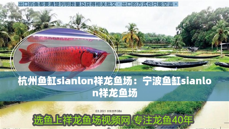 杭州魚缸sianlon祥龍魚場：寧波魚缸sianlon祥龍魚場