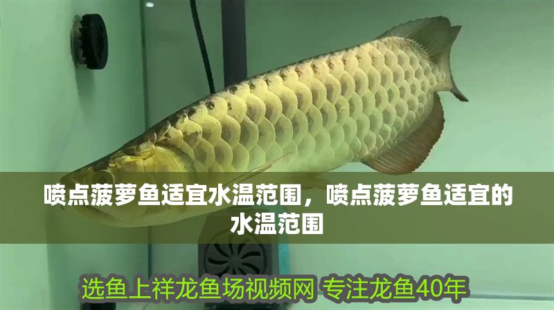 噴點(diǎn)菠蘿魚適宜水溫范圍，噴點(diǎn)菠蘿魚適宜的水溫范圍