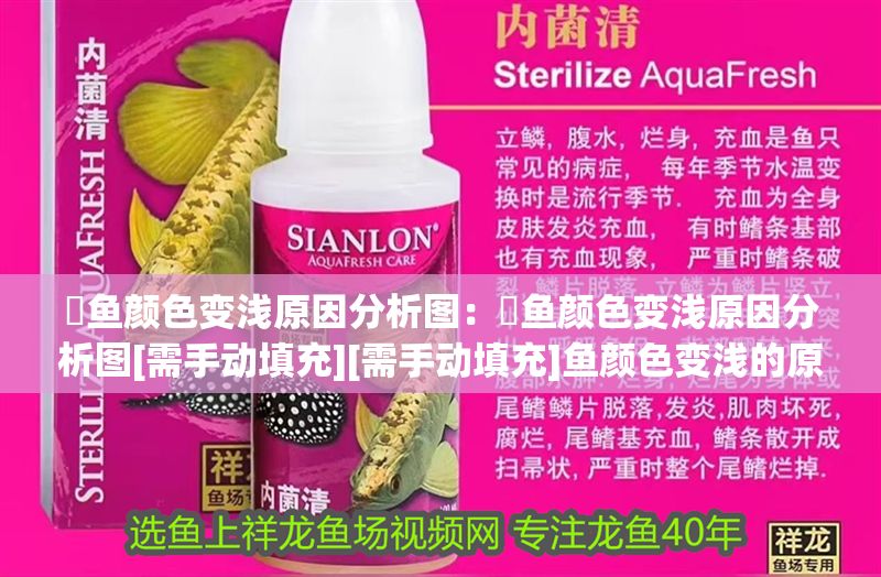 魟魚顏色變淺原因分析圖：魟魚顏色變淺原因分析圖[需手動填充][需手動填充]魚顏色變淺的原因分析 魟魚顏色變淺原因分析圖：魟魚顏色變淺原因分析圖[需手動填充][需手動填充]魚顏色變淺的原因分析 魟魚百科 第2張