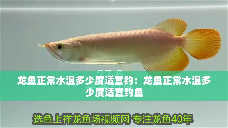 龍魚正常水溫多少度適宜釣：龍魚正常水溫多少度適宜釣魚