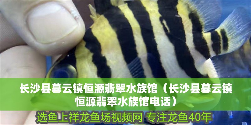 長沙縣暮云鎮(zhèn)恒源翡翠水族館（長沙縣暮云鎮(zhèn)恒源翡翠水族館電話）
