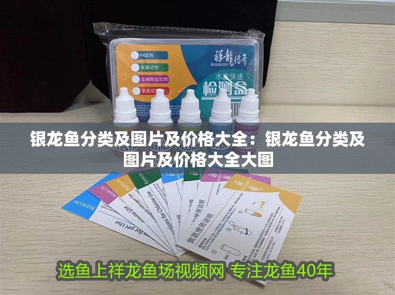 銀龍魚分類及圖片及價(jià)格大全：銀龍魚分類及圖片及價(jià)格大全大圖