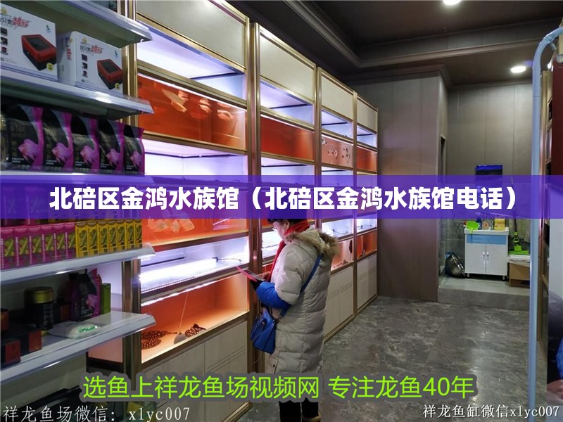 北碚區金鴻水族館（北碚區金鴻水族館電話）