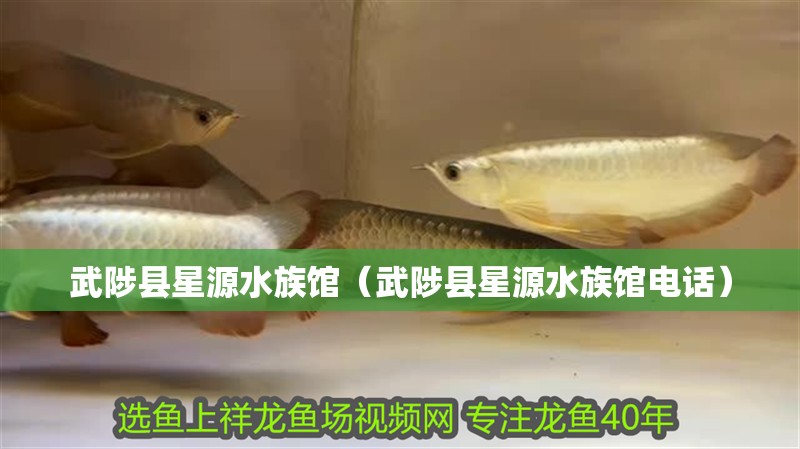 武陟縣星源水族館（武陟縣星源水族館電話）