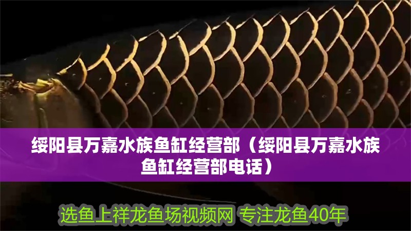 綏陽縣萬嘉水族魚缸經營部（綏陽縣萬嘉水族魚缸經營部電話） 綏陽縣萬嘉水族魚缸經營部（綏陽縣萬嘉水族魚缸經營部電話） 全國水族館企業名錄 第2張