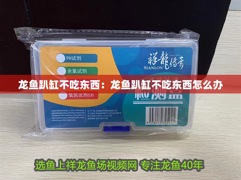 龍魚趴缸不吃東西：龍魚趴缸不吃東西怎么辦