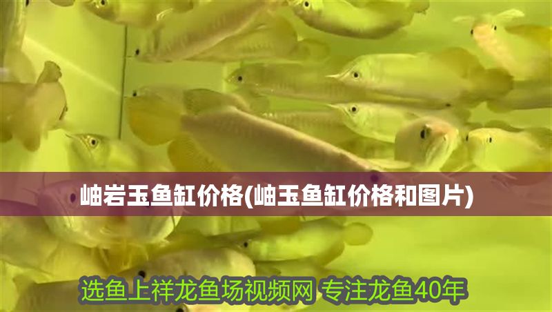 岫巖玉魚缸價格(岫玉魚缸價格和圖片)
