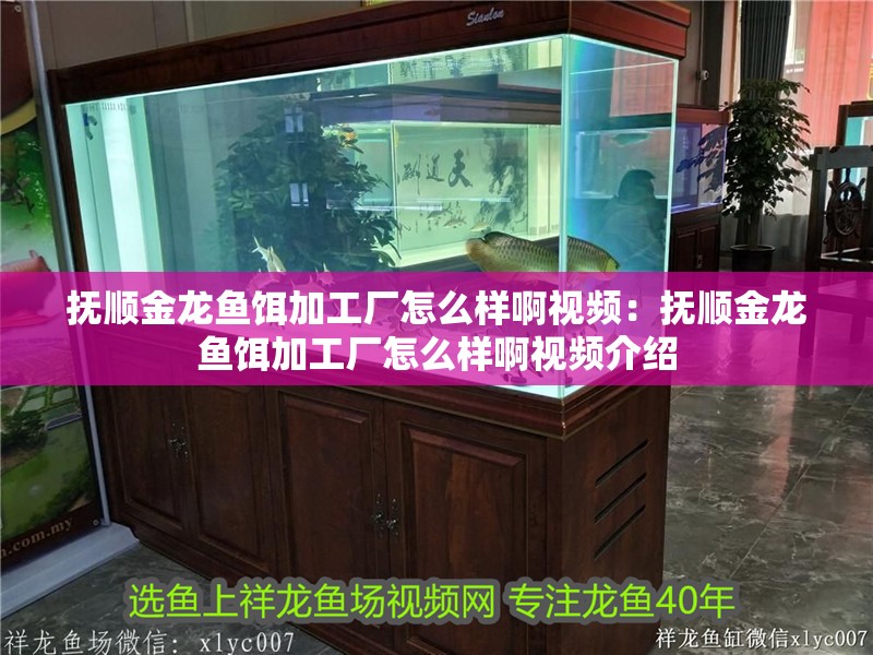 撫順金龍魚餌加工廠怎么樣啊視頻：撫順金龍魚餌加工廠怎么樣啊視頻介紹