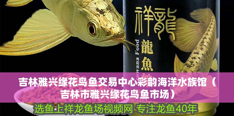 吉林雅興緣花鳥(niǎo)魚(yú)交易中心彩韻海洋水族館（吉林市雅興緣花鳥(niǎo)魚(yú)市場(chǎng)）