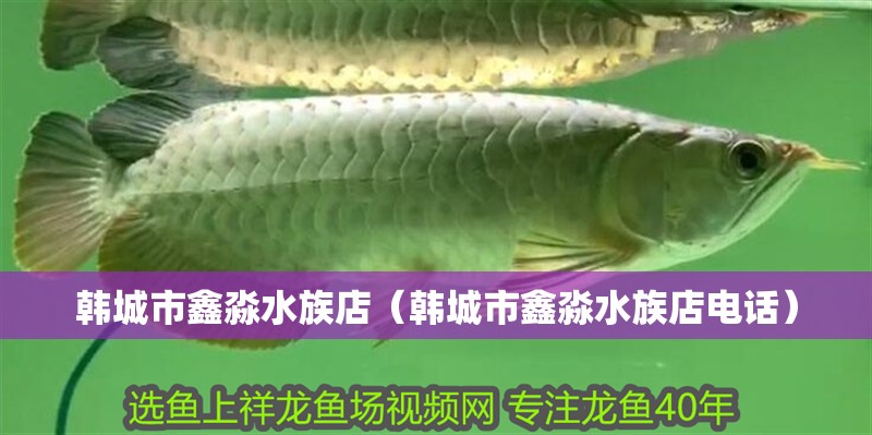 韓城市鑫淼水族店（韓城市鑫淼水族店電話） 韓城市鑫淼水族店（韓城市鑫淼水族店電話） 全國水族館企業名錄 第2張