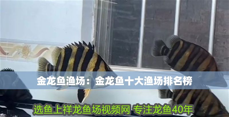 金龍魚漁場：金龍魚十大漁場排名榜