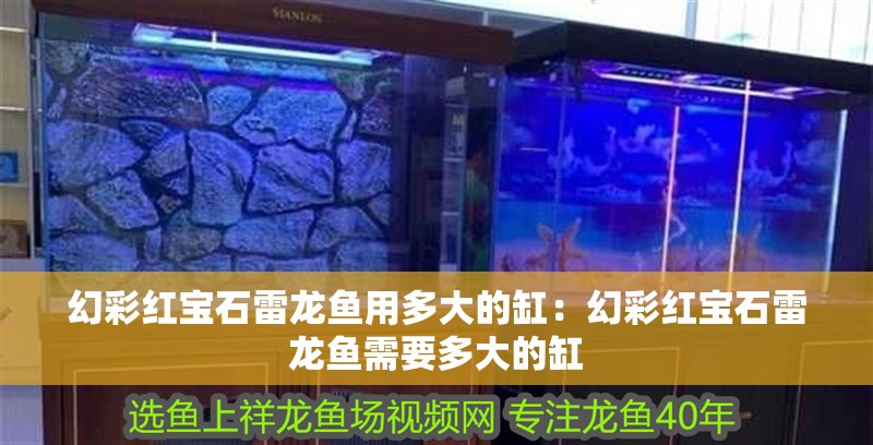 幻彩紅寶石雷龍魚用多大的缸：幻彩紅寶石雷龍魚需要多大的缸