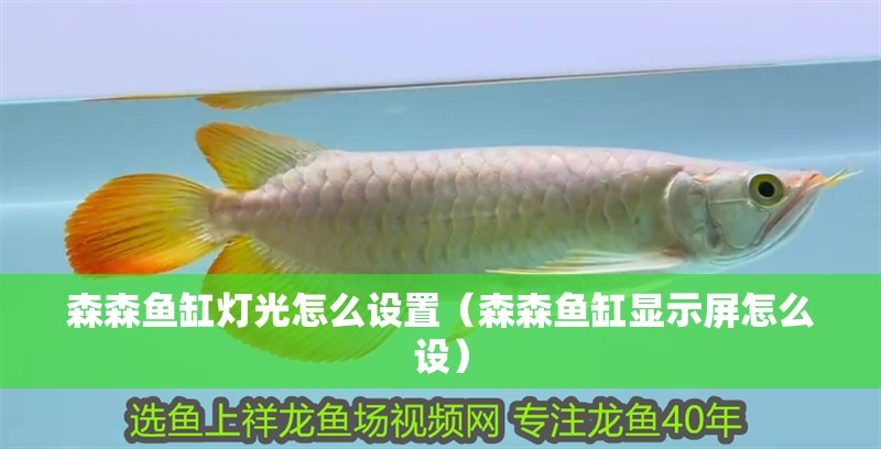 森森魚缸燈光怎么設(shè)置（森森魚缸顯示屏怎么設(shè)）