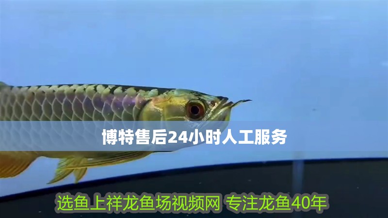博特售后24小時人工服務