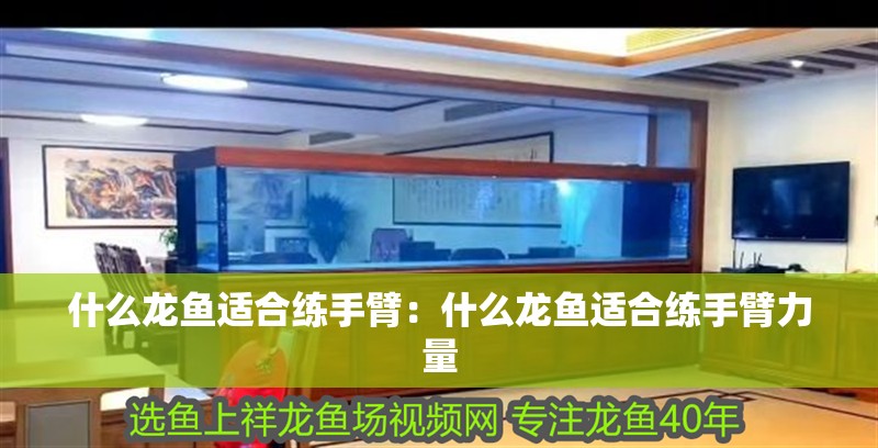 什么龍魚適合練手臂：什么龍魚適合練手臂力量