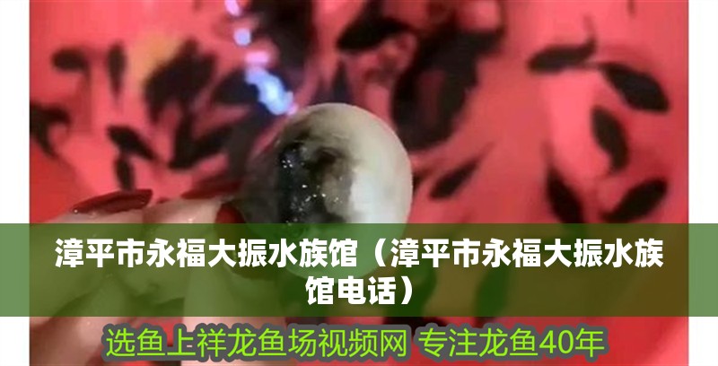 漳平市永福大振水族館（漳平市永福大振水族館電話）