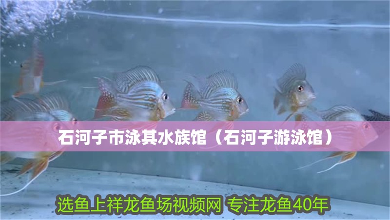 石河子市泳其水族館（石河子游泳館）