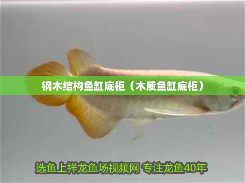 鋼木結構魚缸底柜（木質魚缸底柜）