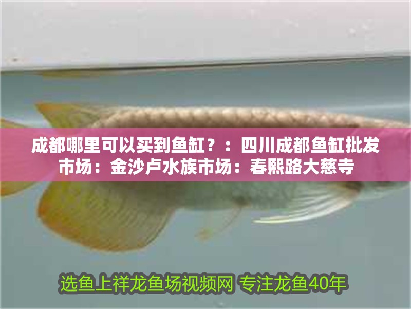 成都哪里可以買到魚缸？：四川成都魚缸批發市場：金沙盧水族市場：春熙路大慈寺