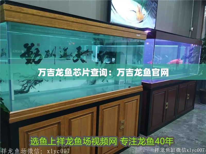 萬吉龍魚芯片查詢：萬吉龍魚官網(wǎng)