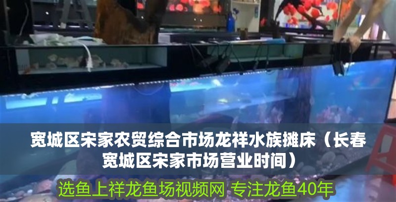 寬城區宋家農貿綜合市場龍祥水族攤床(長春寬城區宋家市場營業時間) 全國水族館企業名錄 第2張 寬城區宋家農貿綜合市場龍祥水族攤床(長春寬城區宋家市場營業時間) 寬城區宋家農貿綜合市場龍祥水族攤床(長春寬城區宋家市場營業時間) 全國水族館企業名錄 第2張
