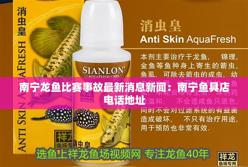 南寧龍魚比賽事故最新消息新聞:南寧魚具店電話地址 水族問答 南寧龍魚比賽事故最新消息新聞:南寧魚具店電話地址 南寧龍魚比賽事故最新消息新聞:南寧魚具店電話地址 水族問答