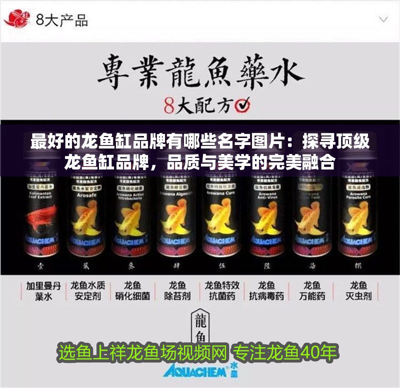 最好的龍魚缸品牌有哪些名字圖片：探尋頂級龍魚缸品牌，品質與美學的完美融合