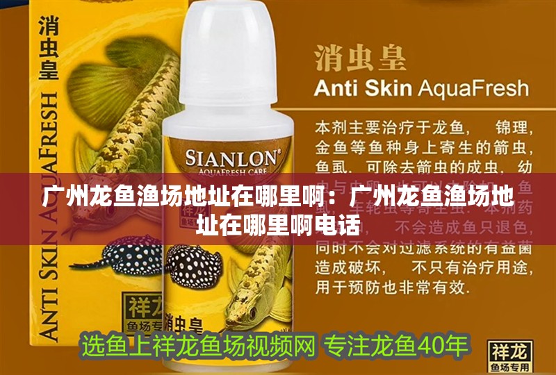 廣州龍魚漁場地址在哪里啊：廣州龍魚漁場地址在哪里啊電話