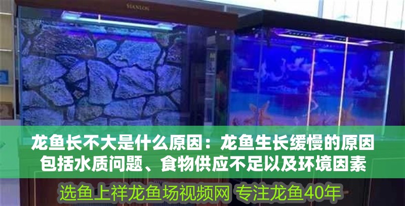 龍魚干蝦有營養嗎 龍魚長不大是什么原因:龍魚生長緩慢的原因包括水質問題、食物供應不足以及環境因素 龍魚百科 龍魚長不大是什么原因:龍魚生長緩慢的原因包括水質問題、食物供應不足以及環境因素 龍魚長不大是什么原因:龍魚生長緩慢的原因包括水質問題、食物供應不足以及環境因素 龍魚百科