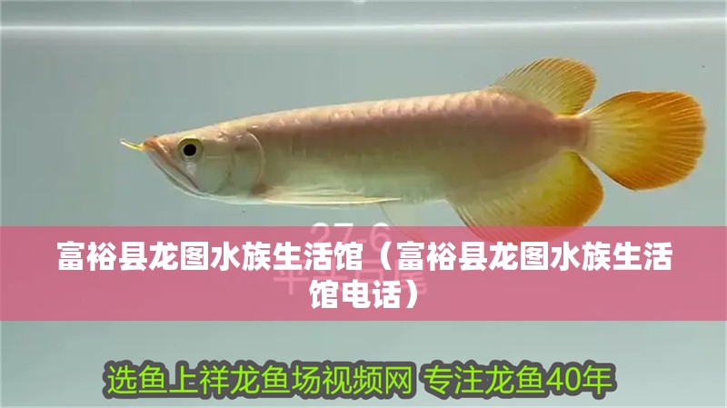富裕縣龍圖水族生活館（富裕縣龍圖水族生活館電話） 富裕縣龍圖水族生活館（富裕縣龍圖水族生活館電話） 全國水族館企業名錄 第2張