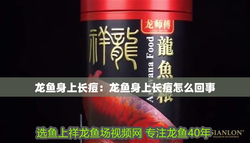 龍魚身上長痘：龍魚身上長痘怎么回事