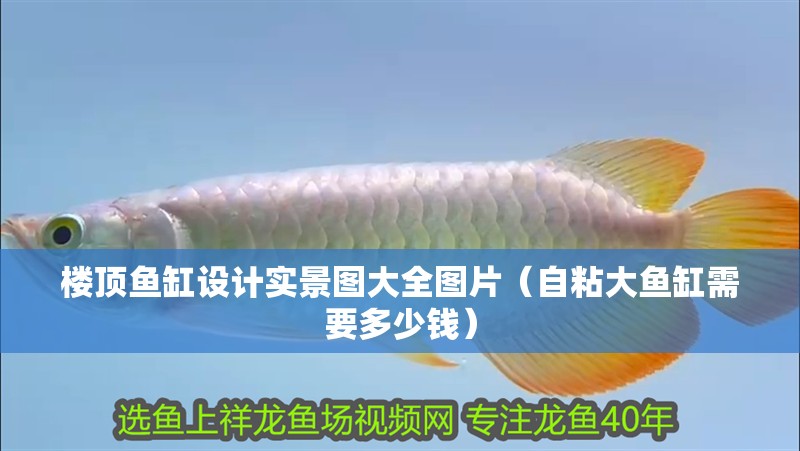 樓頂魚缸設計實景圖大全圖片（自粘大魚缸需要多少錢）