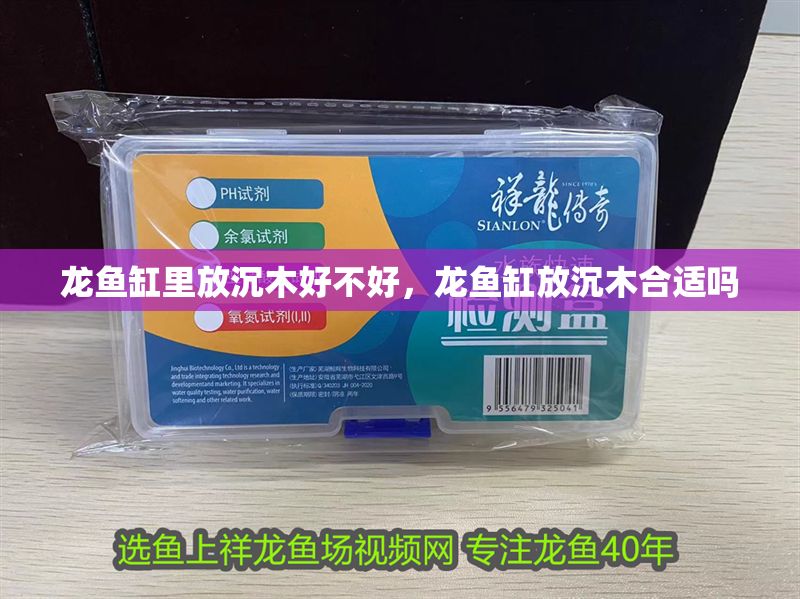 龍魚(yú)缸里放沉木好不好，龍魚(yú)缸放沉木合適嗎