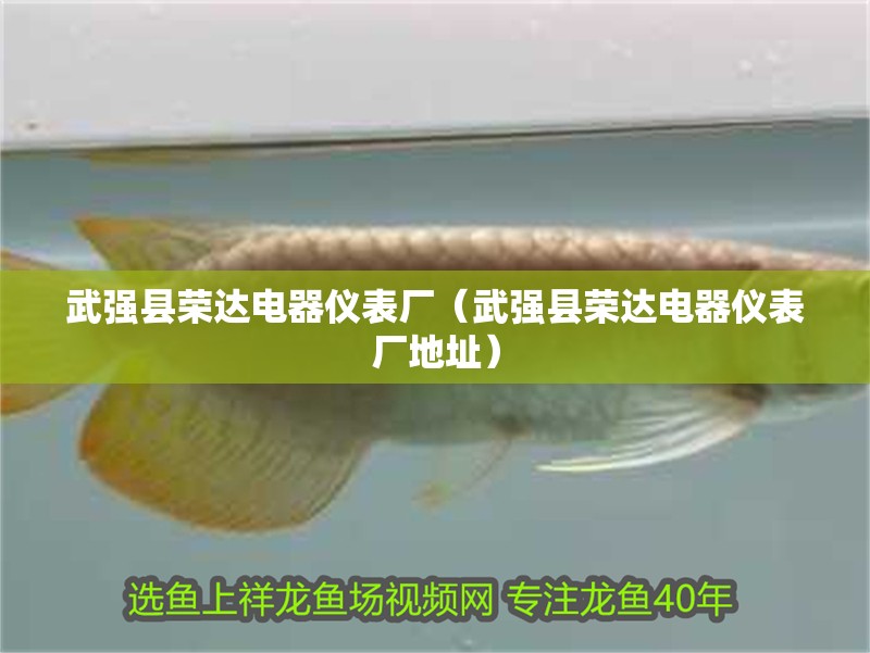 武強縣榮達電器儀表廠（武強縣榮達電器儀表廠地址） 武強縣榮達電器儀表廠（武強縣榮達電器儀表廠地址） 全國水族館企業名錄 第2張