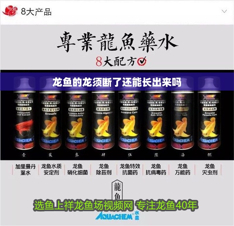 龍魚的龍須斷了還能長出來嗎