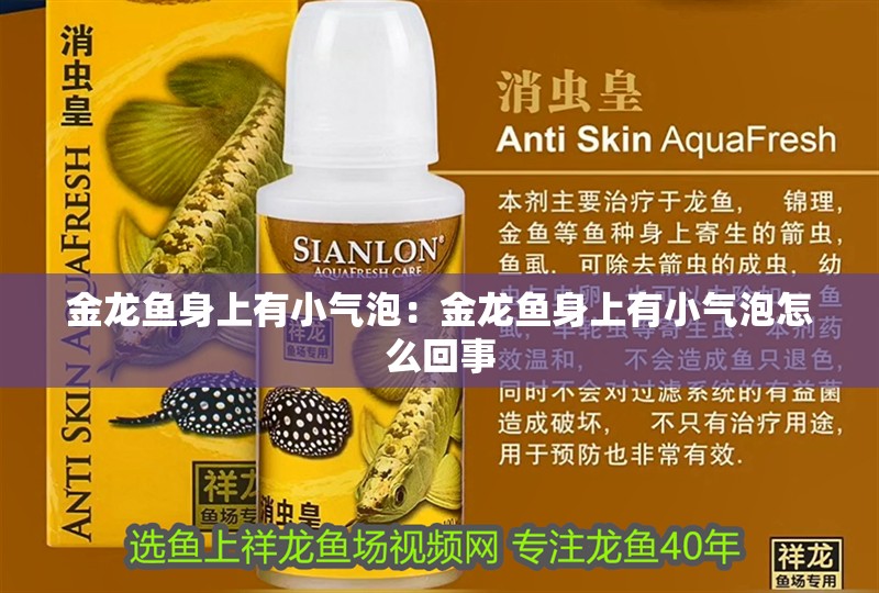 金龍魚身上有小氣泡：金龍魚身上有小氣泡怎么回事