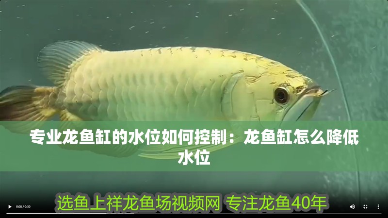 專業(yè)龍魚缸的水位如何控制：龍魚缸怎么降低水位