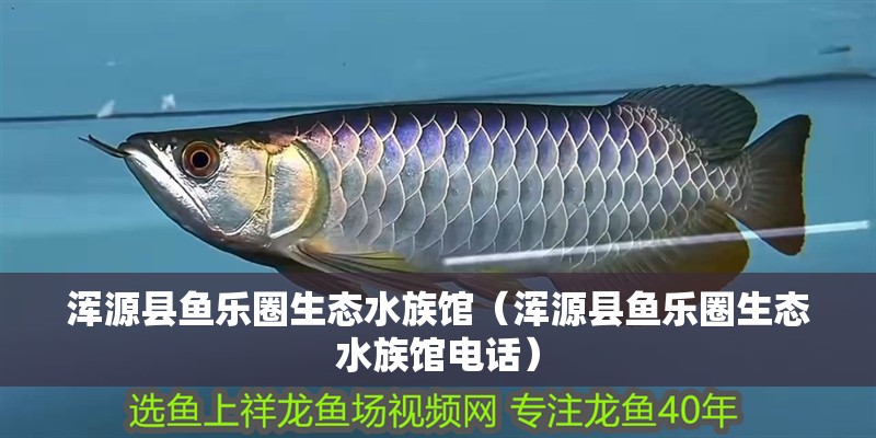 渾源縣魚樂圈生態(tài)水族館（渾源縣魚樂圈生態(tài)水族館電話） 渾源縣魚樂圈生態(tài)水族館（渾源縣魚樂圈生態(tài)水族館電話） 全國水族館企業(yè)名錄 第2張