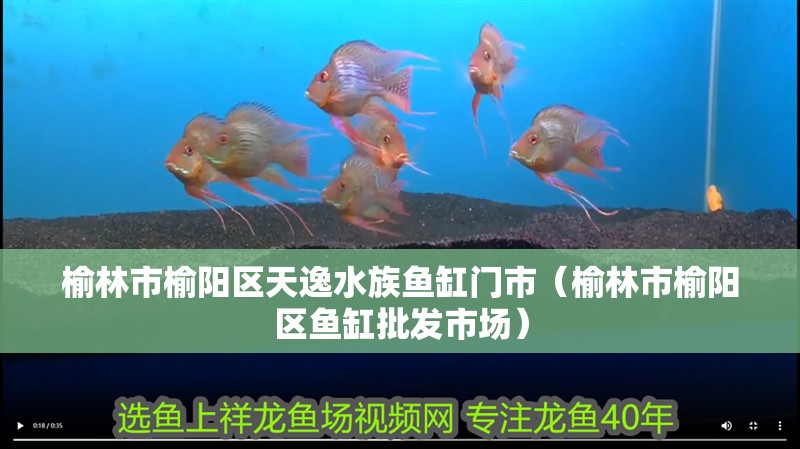 榆林市榆陽區天逸水族魚缸門市（榆林市榆陽區魚缸批發市場） 榆林市榆陽區天逸水族魚缸門市（榆林市榆陽區魚缸批發市場） 全國水族館企業名錄 第2張