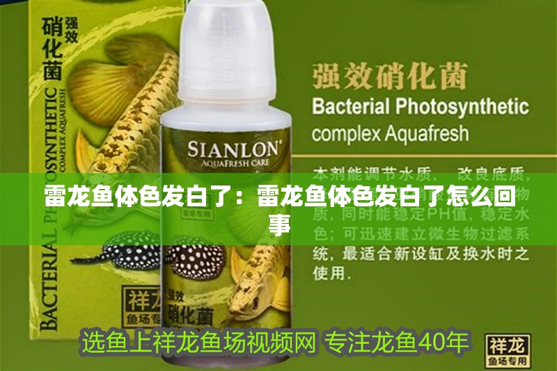 雷龍魚體色發(fā)白了：雷龍魚體色發(fā)白了怎么回事