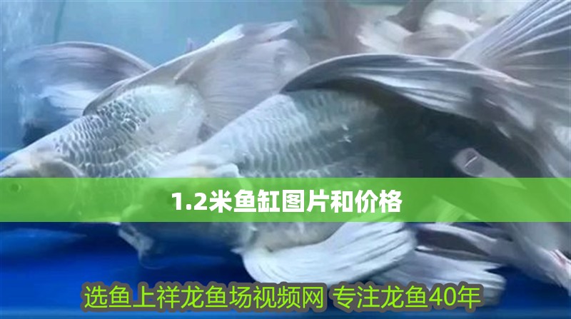 1.2米魚缸圖片和價(jià)格