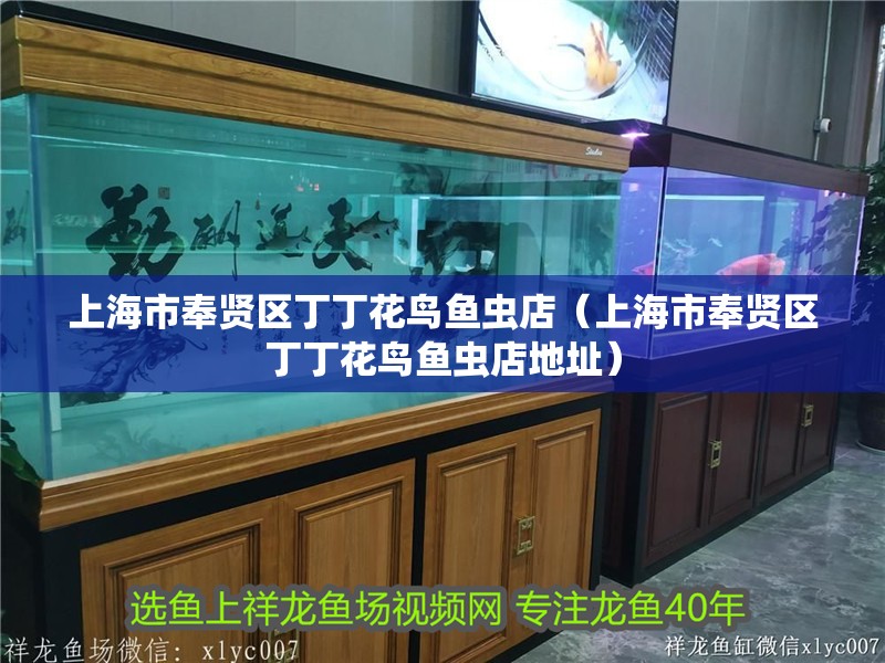 上海市奉賢區丁丁花鳥魚蟲店（上海市奉賢區丁丁花鳥魚蟲店地址） 上海市奉賢區丁丁花鳥魚蟲店（上海市奉賢區丁丁花鳥魚蟲店地址） 全國水族館企業名錄 第2張