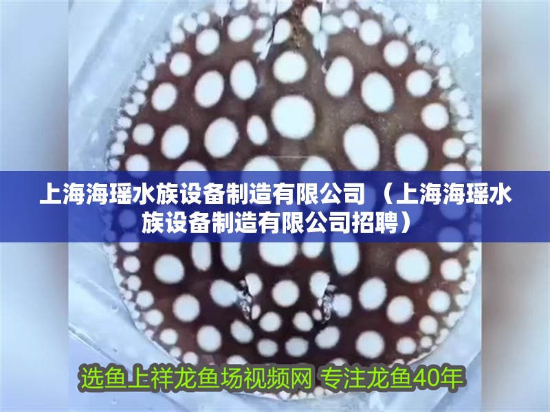 上海海瑤水族設備制造有限公司 （上海海瑤水族設備制造有限公司招聘）